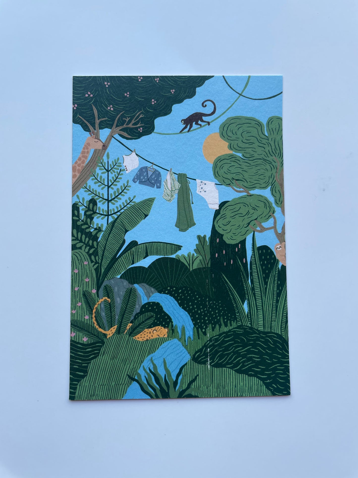 An ode to wild | Postcards