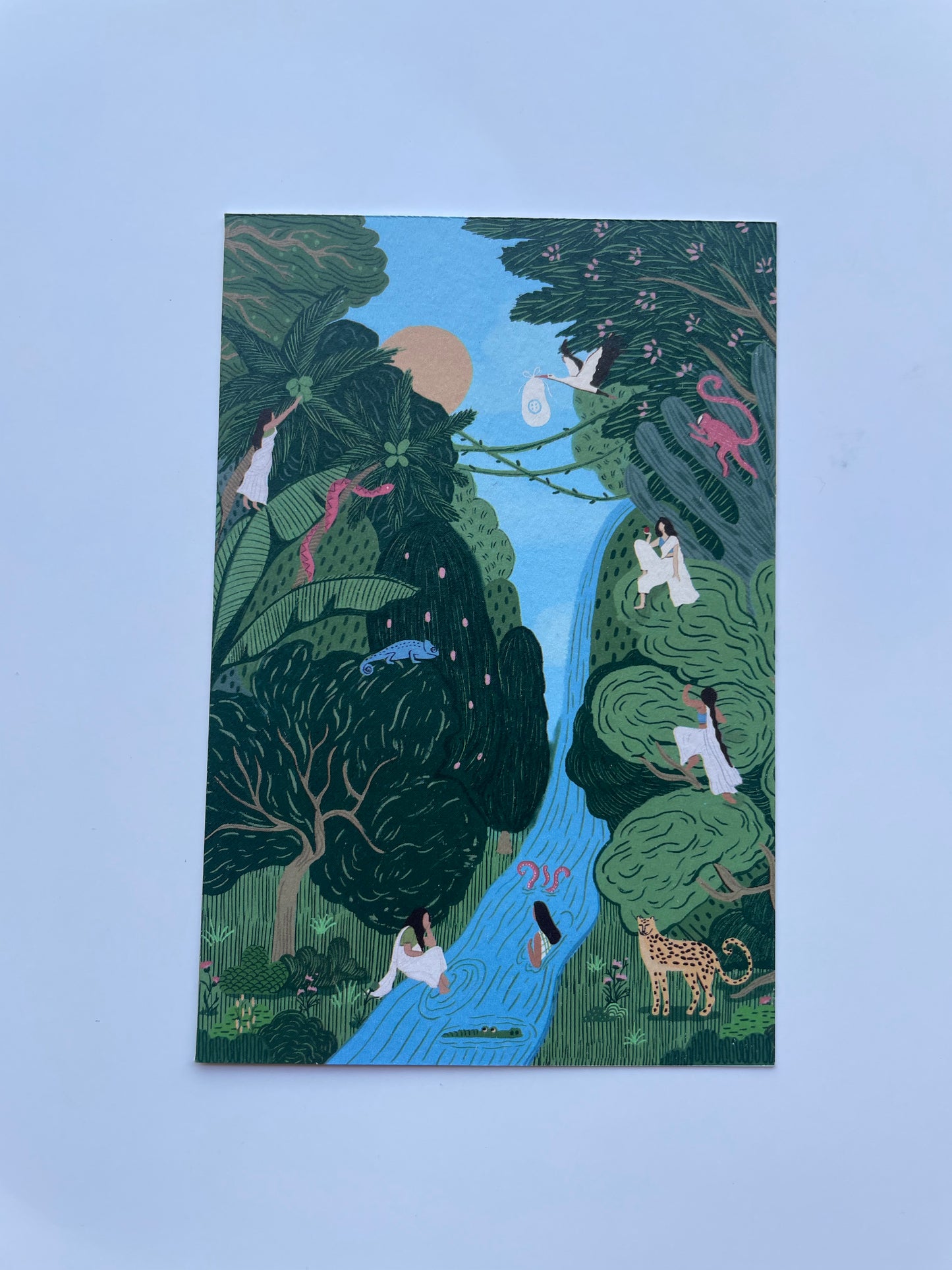 An ode to wild | Postcards